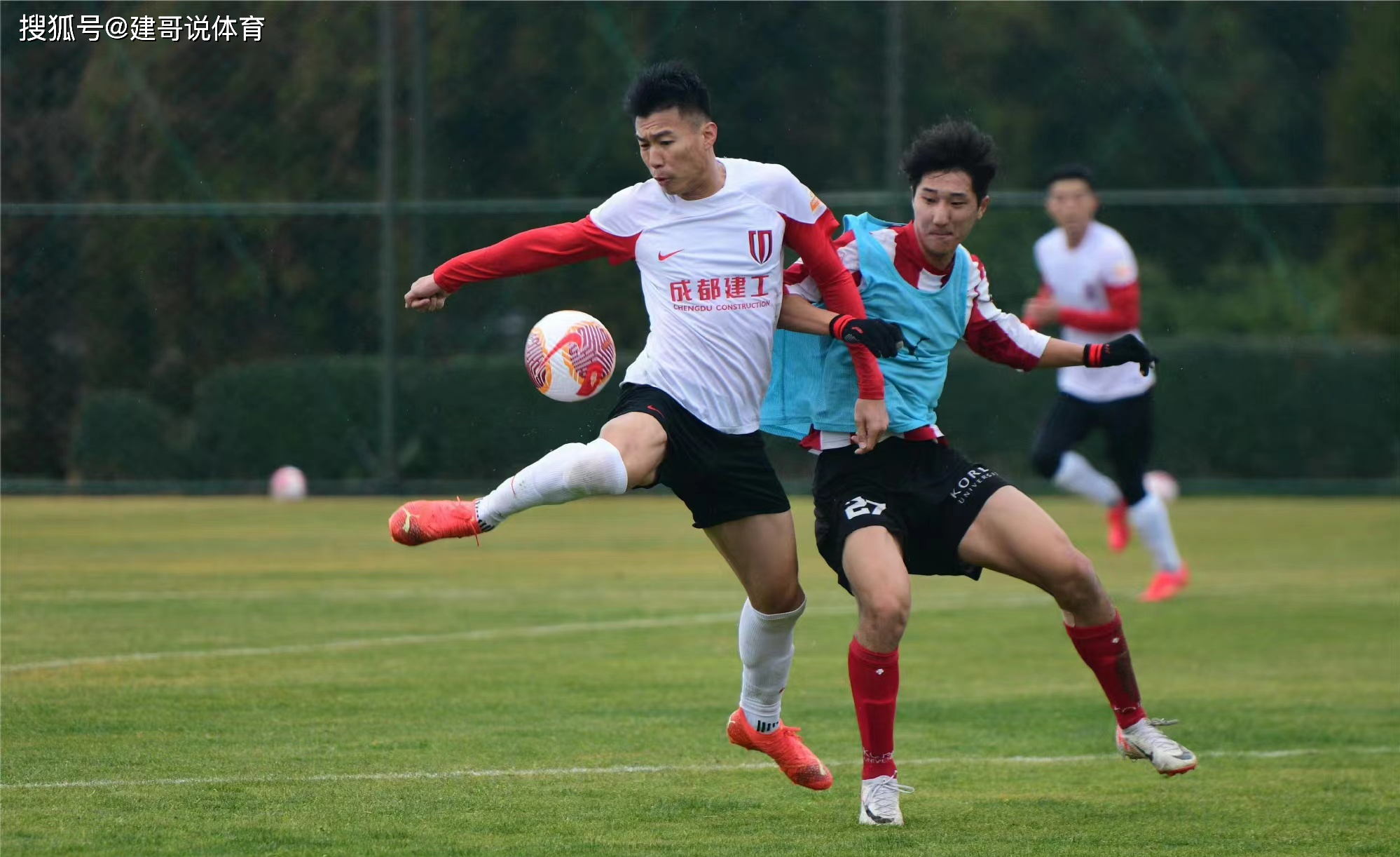 开云网页版-成都队elsa